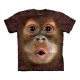 T-Shirt Labrador