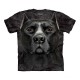 T-Shirt Labrador