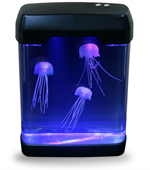 Aquarium Jelly fish, l'aquarium à méduses