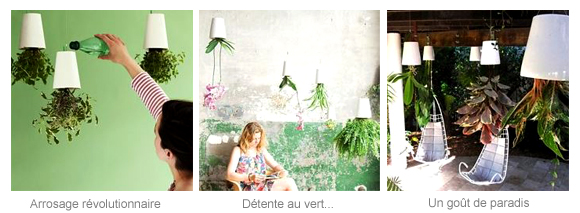 Poetic Plant, transfomez votre plafond !